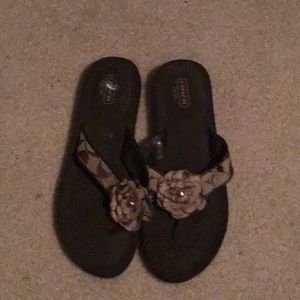 Coach slides